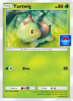 Turtwig