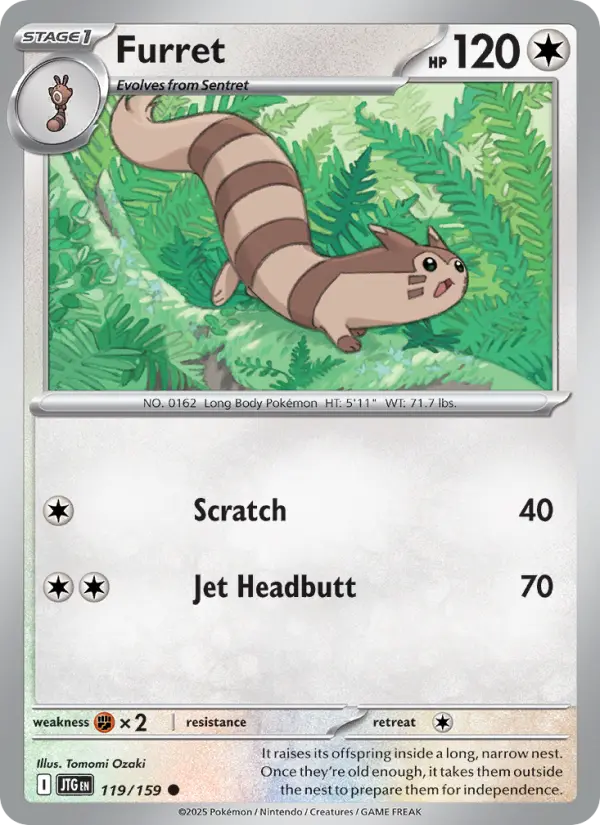 Furret