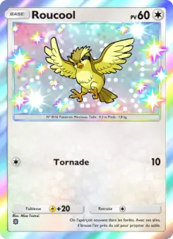 Pidgey