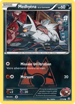 Team Magma's Poochyena