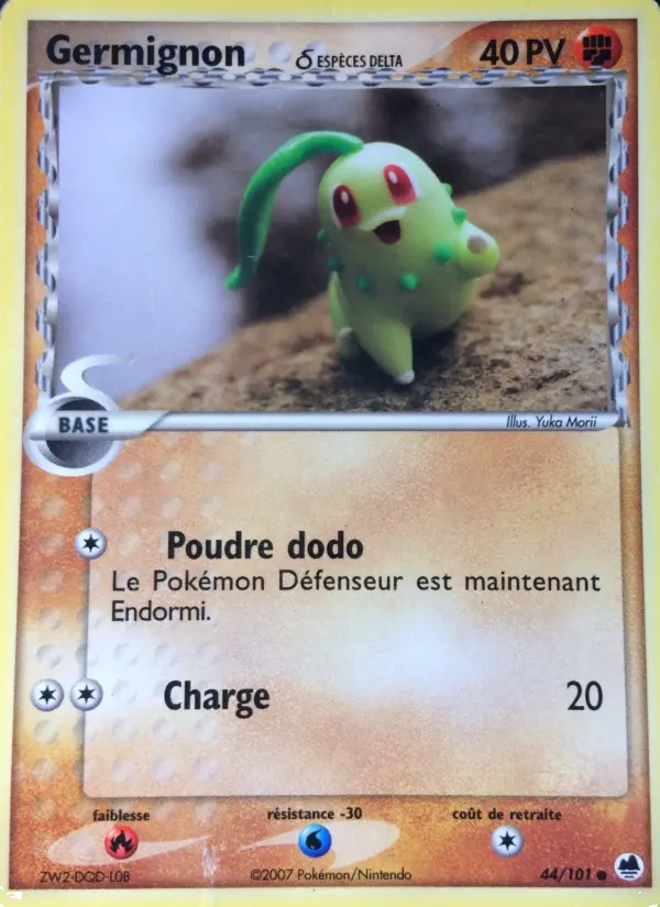 Chikorita δ
