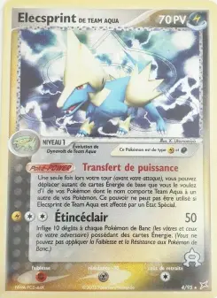 Team Aqua's Manectric