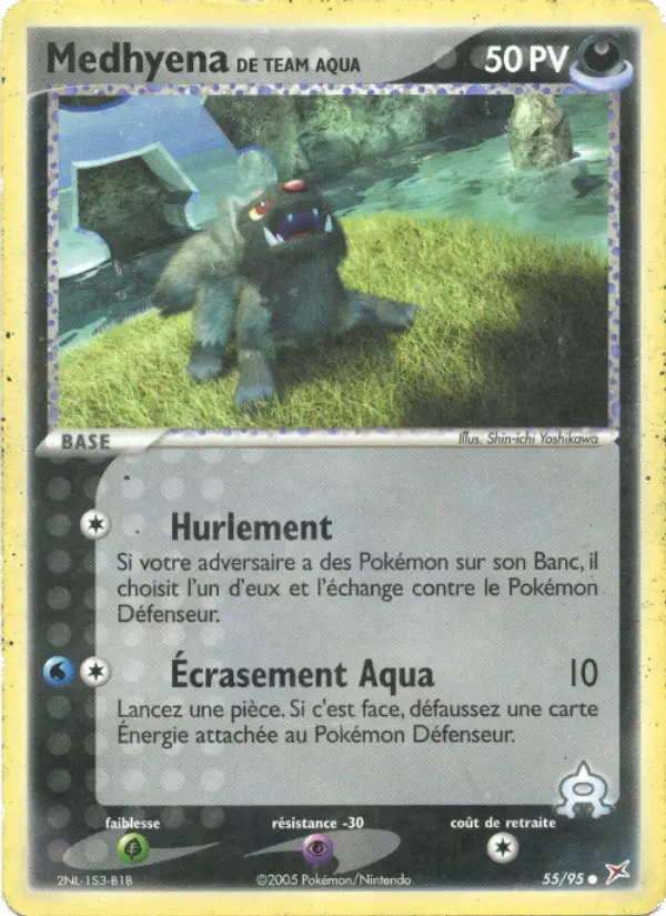 Team Aqua's Poochyena