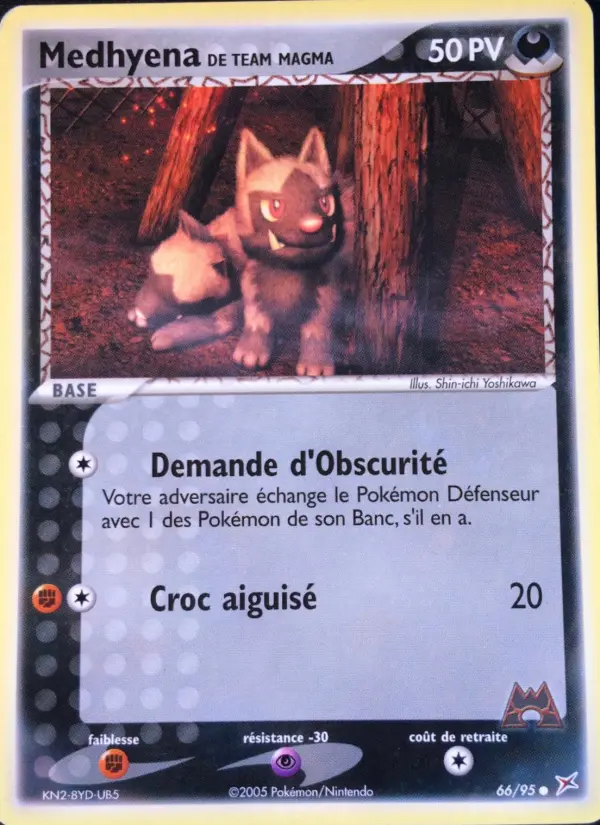 Team Magma's Poochyena