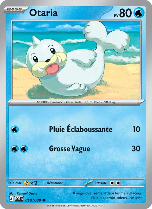 Seel