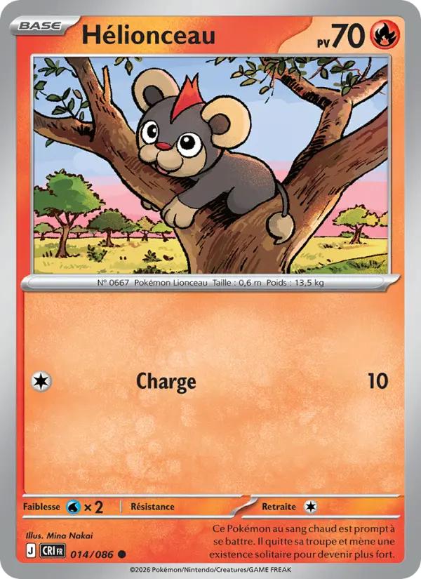 Litleo