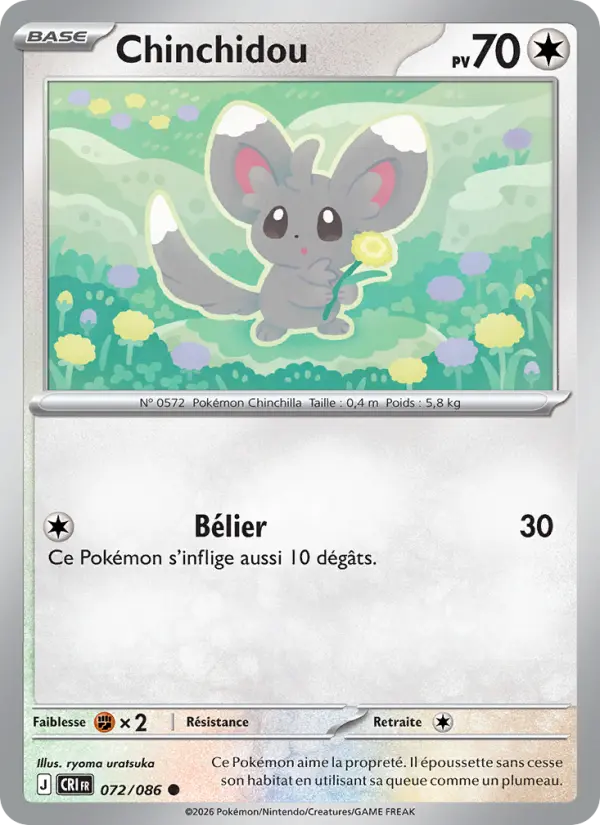 Minccino