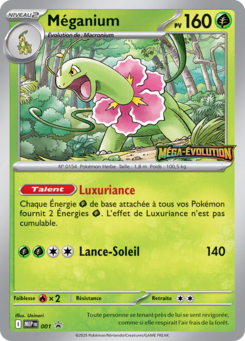 Meganium - 001