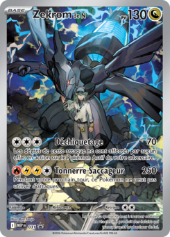 N's Zekrom - 031