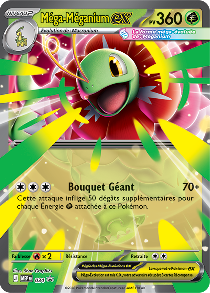 Mega Meganium ex - 034