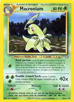 Bayleef