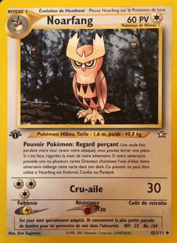 Noctowl