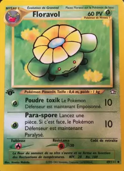Skiploom