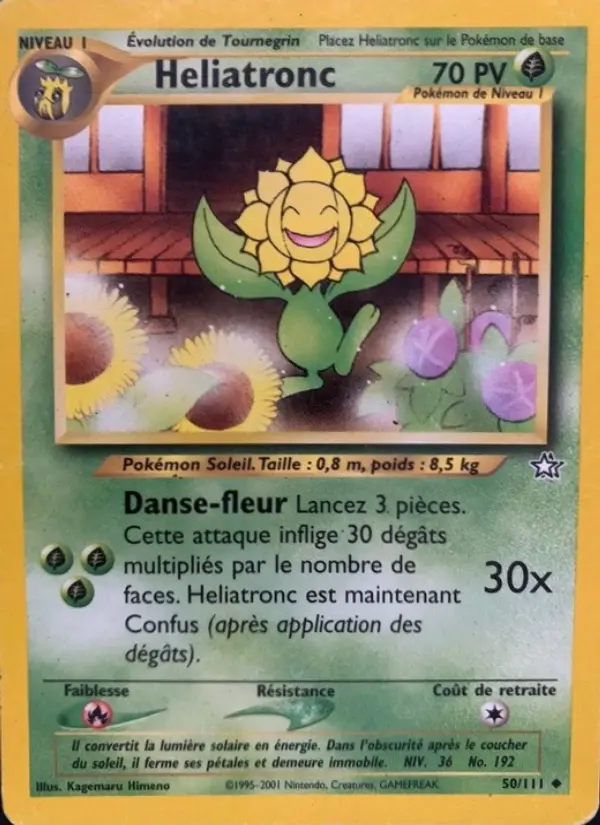 Sunflora
