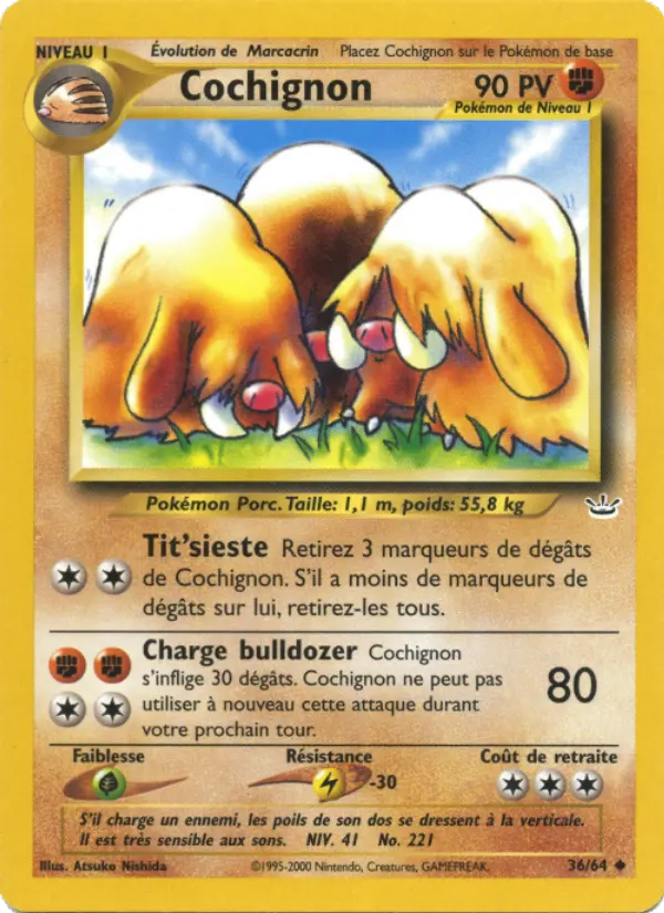 Piloswine