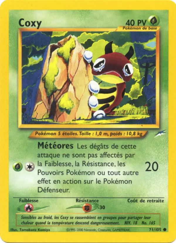 Ledyba
