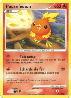 Torchic