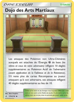 Martial Arts Dojo