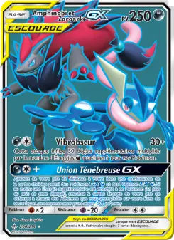 Greninja & Zoroark GX