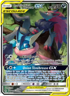 Greninja & Zoroark GX