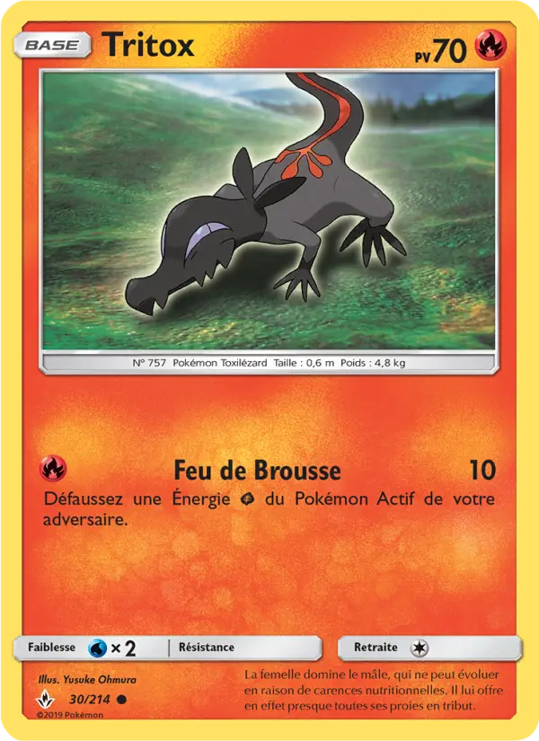 Salandit