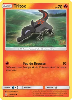 Salandit