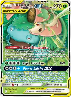 Venusaur & Snivy GX