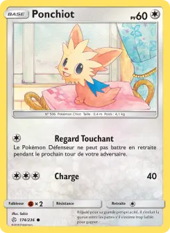 Lillipup