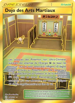 Martial Arts Dojo