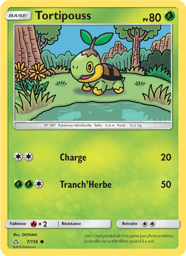 Turtwig