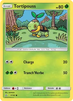 Turtwig