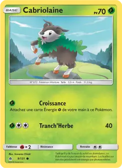 Skiddo