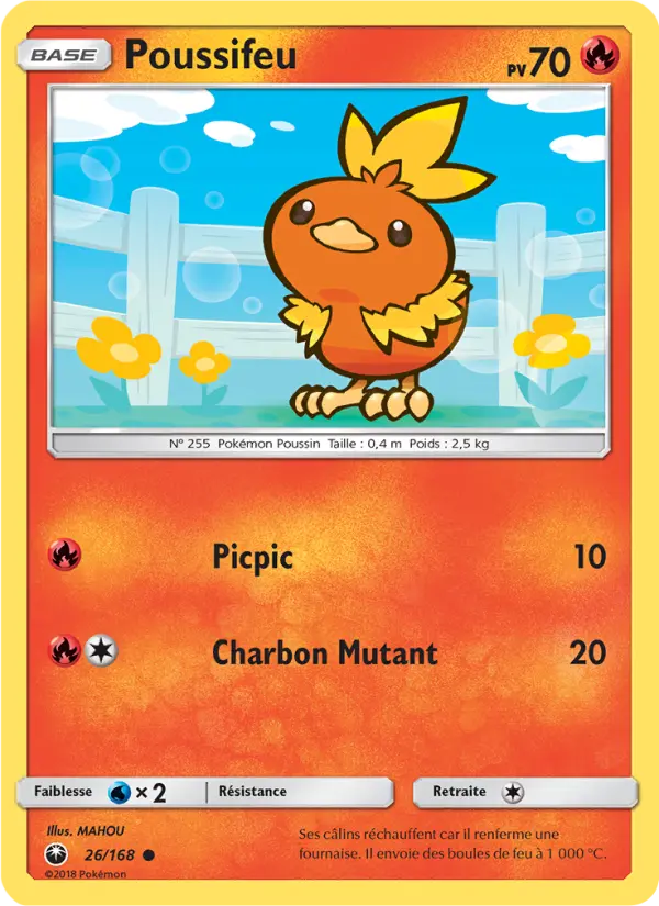 Torchic