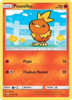 Torchic