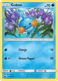 Mudkip