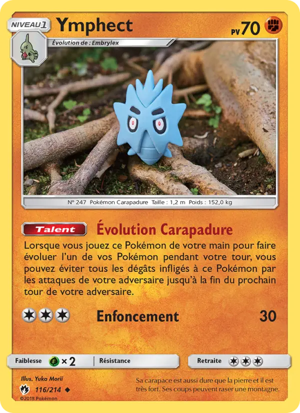 Pupitar