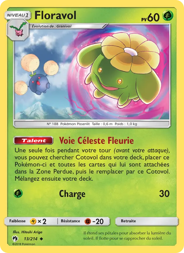 Skiploom
