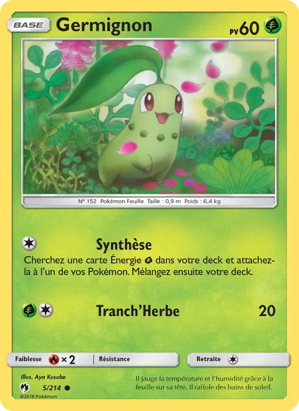 Chikorita