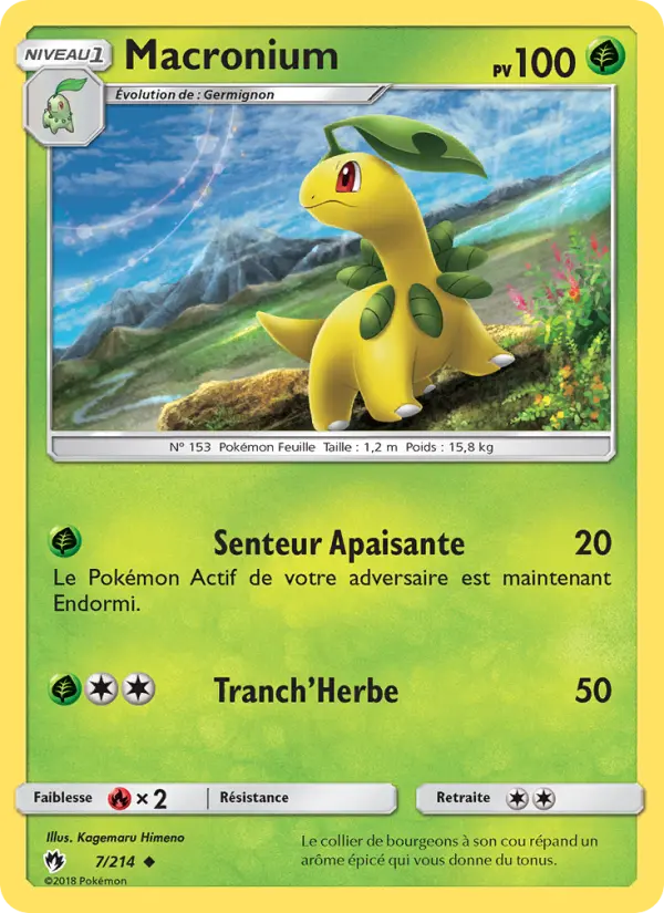 Bayleef