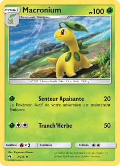 Bayleef