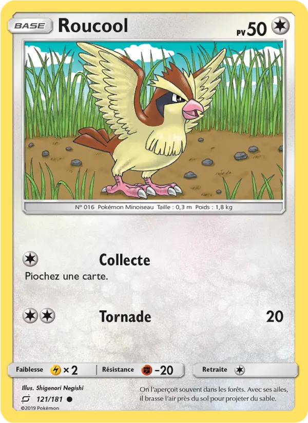 Pidgey