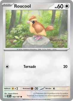 Pidgey
