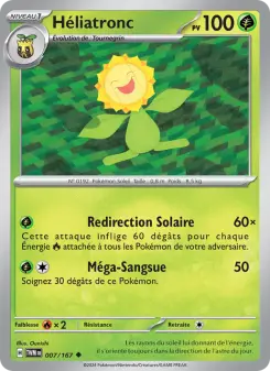 Sunflora