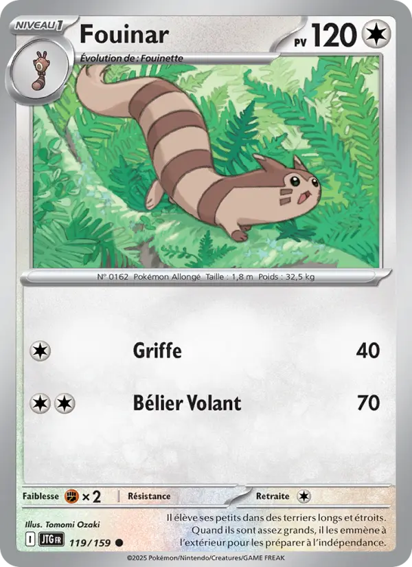 Furret