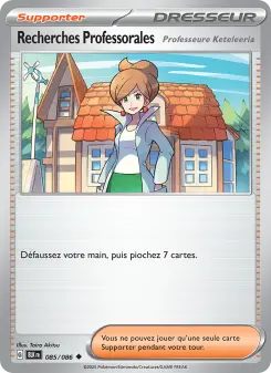 Professor's Research