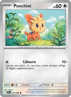 Lillipup