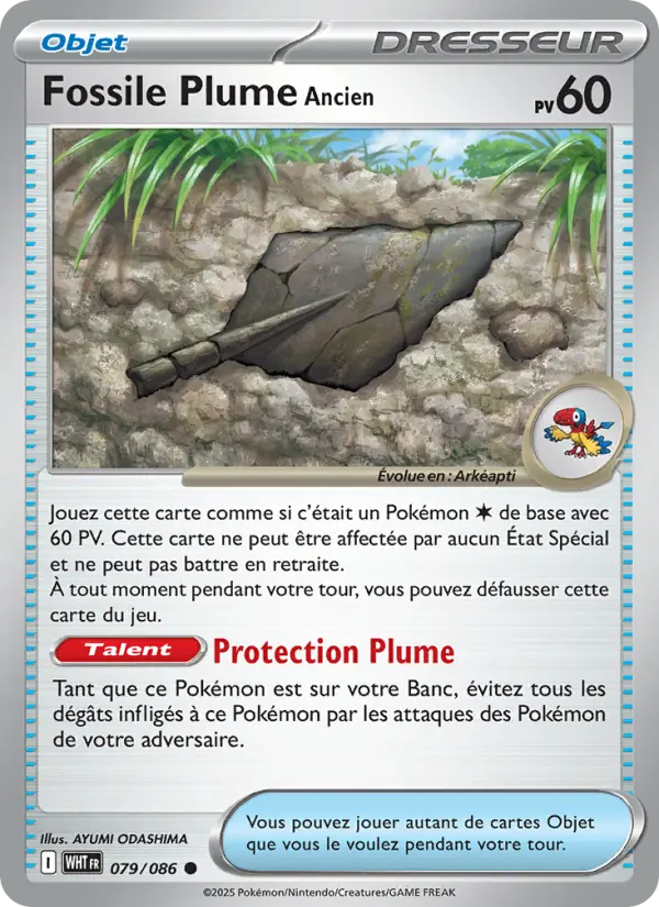 Antique Plume Fossil