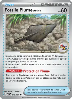 Antique Plume Fossil