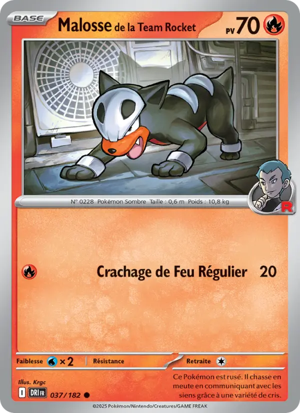 Team Rocket's Houndour