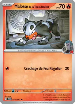 Team Rocket's Houndour